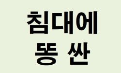 침대에 똥 싼 꿈의 의미