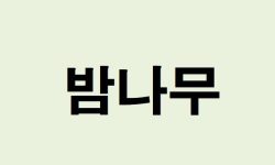 밤나무 꿈의 의미는?(해몽, 태몽, 재물, 운세) 밤나무 꿈의 의미