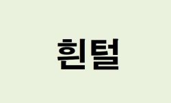 흰 털 뽑는 꿈의 의미
