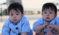 쌍둥이 낳는 꿈의 의미는?(해몽, 태몽, 재물, 운세) 쌍둥이 낳는 꿈의 의미