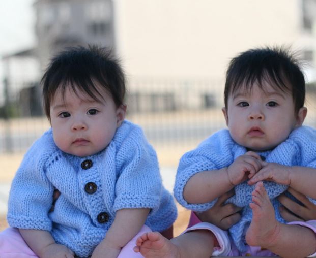 쌍둥이 낳는 꿈의 의미