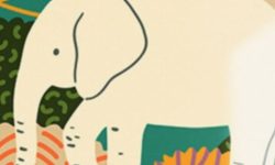 하얀 코끼리 꿈의 의미는?(해몽, 태몽, 재물, 운세) 하얀 코끼리 꿈의 의미
