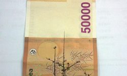 오만원(5만원) 꿈의 의미