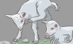 염소 고기 먹는 꿈의 의미