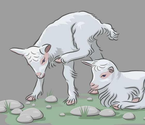 염소 고기 먹는 꿈의 의미