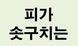 피가 솟구치는 꿈의 의미